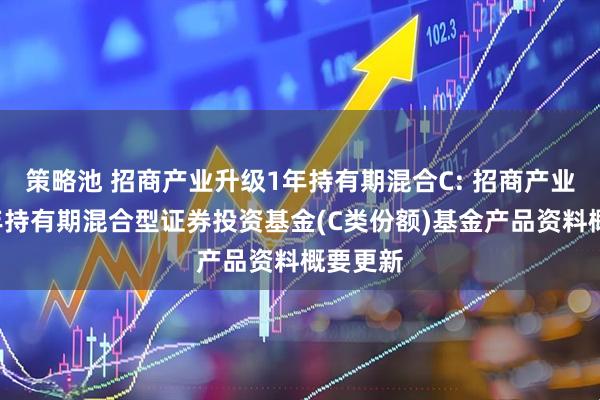 策略池 招商产业升级1年持有期混合C: 招商产业升级1年持有期混合型证券投资基金(C类份额)基金产品资料概要更新