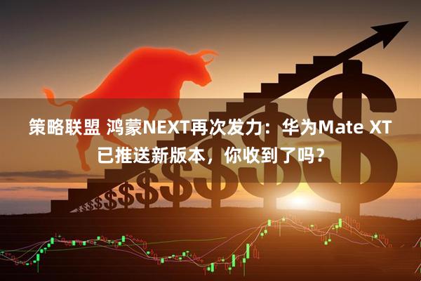 策略联盟 鸿蒙NEXT再次发力：华为Mate XT已推送新版本，你收到了吗？