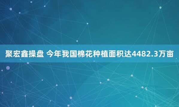 聚宏鑫操盘 今年我国棉花种植面积达4482.3万亩